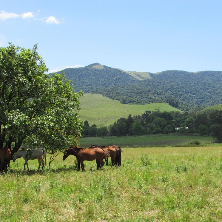 Karkloof Hideout Villa Howick Eksteriør billede